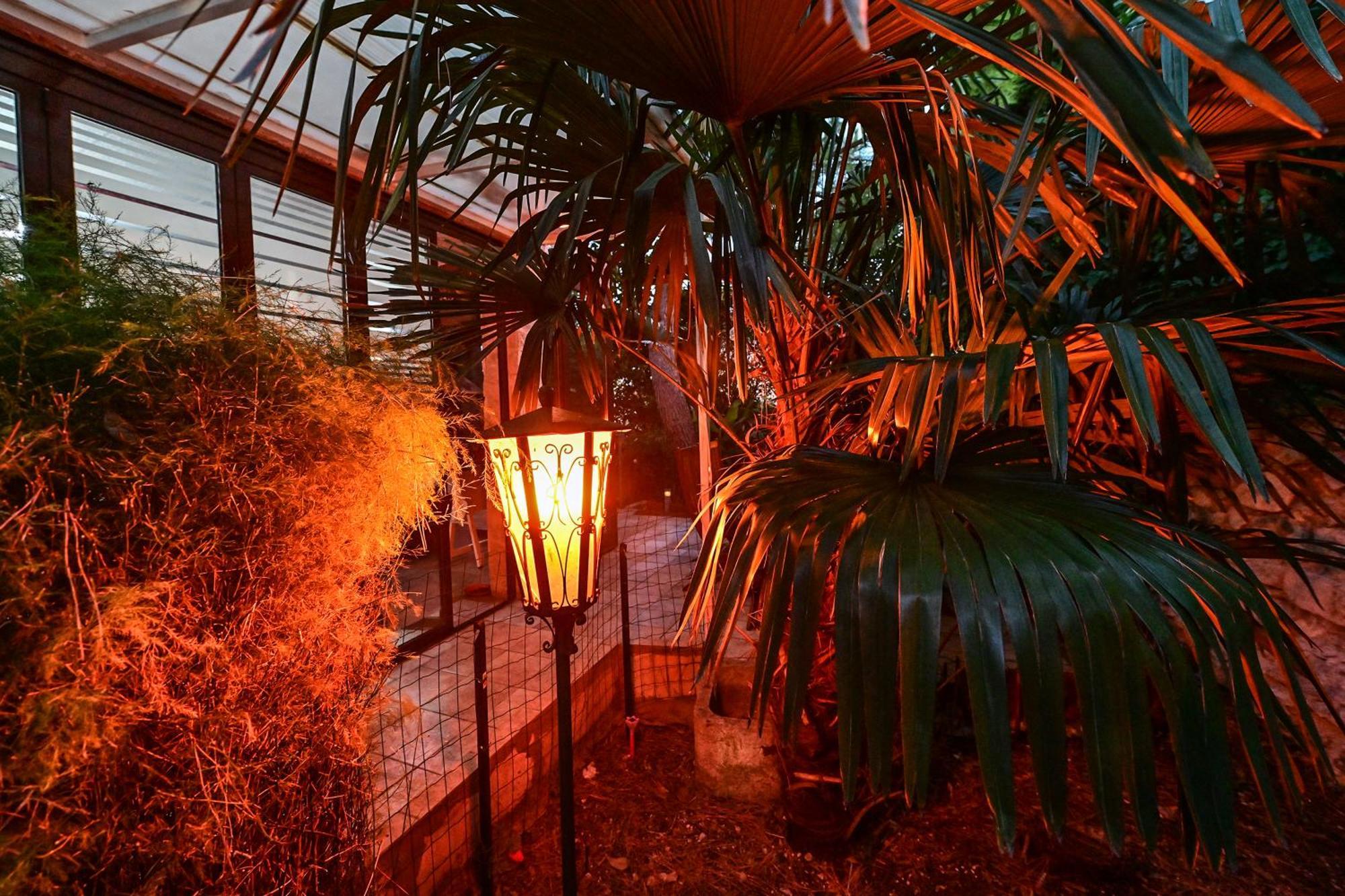 Bohemian Rhapsody Lägenhet Rovinj Exteriör bild